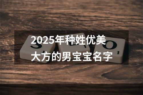 2025年种姓优美大方的男宝宝名字