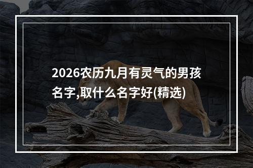 2026农历九月有灵气的男孩名字,取什么名字好(精选)