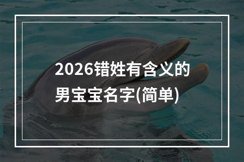 2026错姓有含义的男宝宝名字(简单)