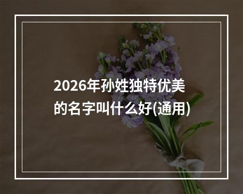 2026年孙姓独特优美的名字叫什么好(通用)