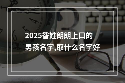 2025昝姓朗朗上口的男孩名字,取什么名字好