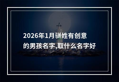 2026年1月骈姓有创意的男孩名字,取什么名字好