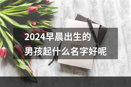 2024早晨出生的男孩起什么名字好呢