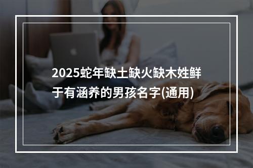 2025蛇年缺土缺火缺木姓鲜于有涵养的男孩名字(通用)