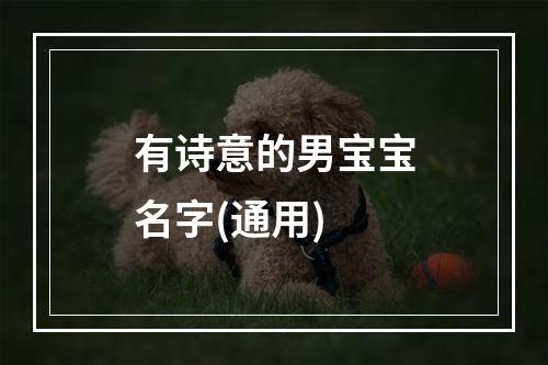 有诗意的男宝宝名字(通用)