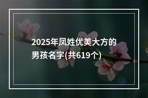 2025年凤姓优美大方的男孩名字(共619个)