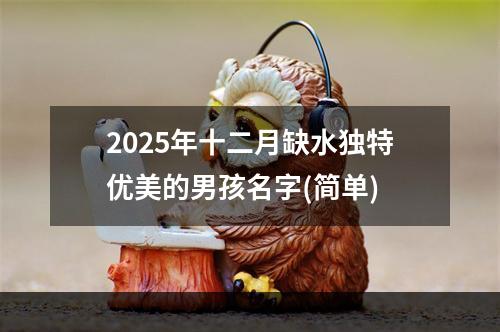 2025年十二月缺水独特优美的男孩名字(简单)