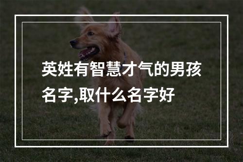 英姓有智慧才气的男孩名字,取什么名字好