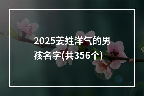 2025姜姓洋气的男孩名字(共356个)