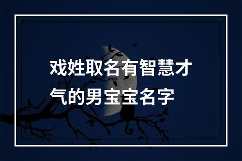 戏姓取名有智慧才气的男宝宝名字