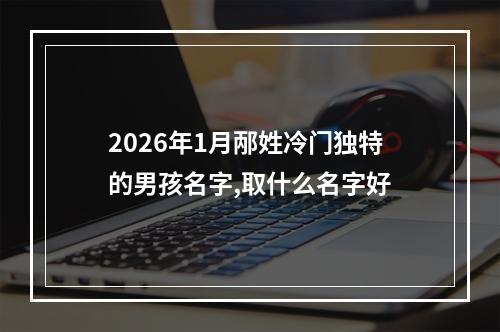 2026年1月邴姓冷门独特的男孩名字,取什么名字好