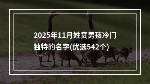 2025年11月姓贲男孩冷门独特的名字(优选542个)