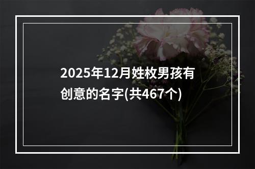 2025年12月姓枚男孩有创意的名字(共467个)