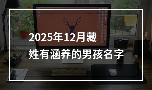 2025年12月藏姓有涵养的男孩名字