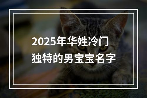 2025年华姓冷门独特的男宝宝名字