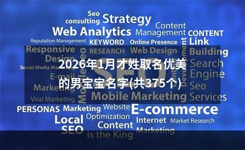 2026年1月才姓取名优美的男宝宝名字(共375个)
