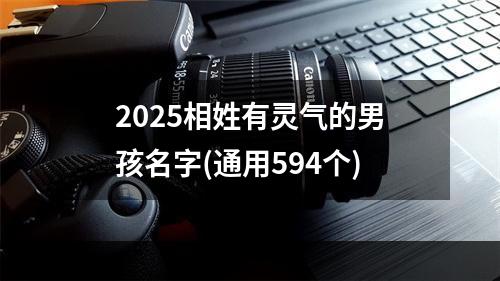 2025相姓有灵气的男孩名字(通用594个)