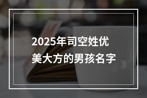 2025年司空姓优美大方的男孩名字