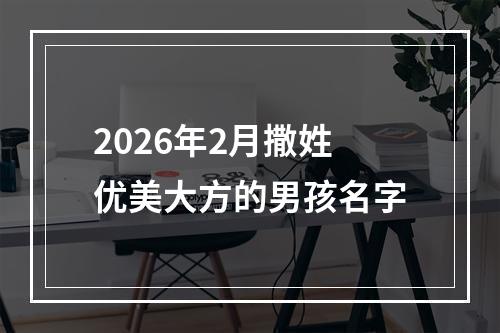 2026年2月撒姓优美大方的男孩名字