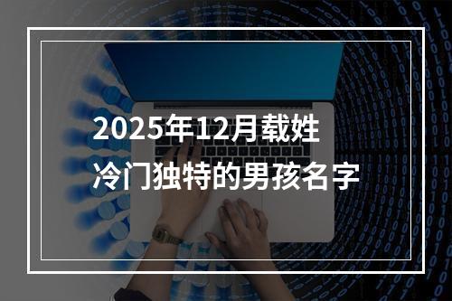 2025年12月载姓冷门独特的男孩名字