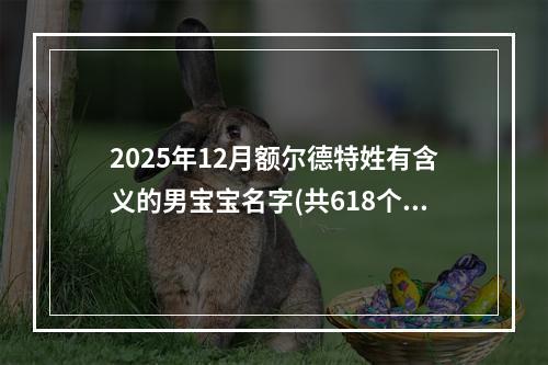 2025年12月额尔德特姓有含义的男宝宝名字(共618个)