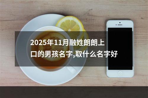 2025年11月融姓朗朗上口的男孩名字,取什么名字好