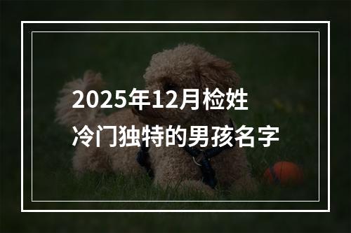 2025年12月检姓冷门独特的男孩名字