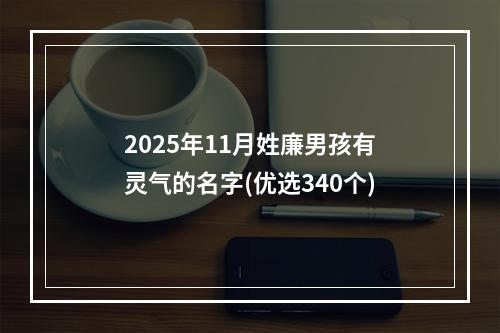 2025年11月姓廉男孩有灵气的名字(优选340个)