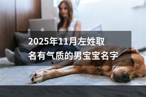 2025年11月左姓取名有气质的男宝宝名字