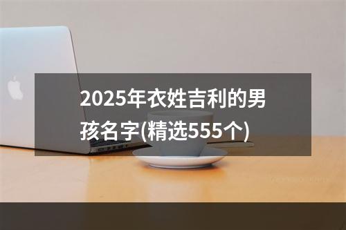 2025年衣姓吉利的男孩名字(精选555个)