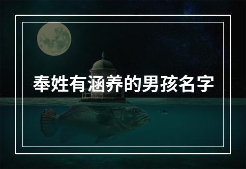 奉姓有涵养的男孩名字