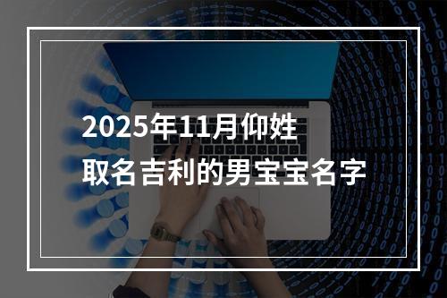2025年11月仰姓取名吉利的男宝宝名字