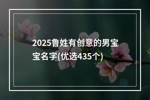 2025鲁姓有创意的男宝宝名字(优选435个)