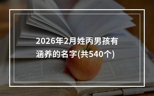 2026年2月姓丙男孩有涵养的名字(共540个)