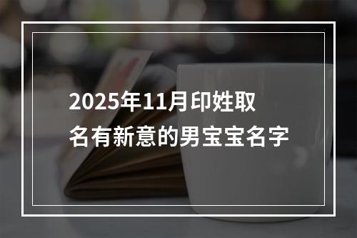 2025年11月印姓取名有新意的男宝宝名字