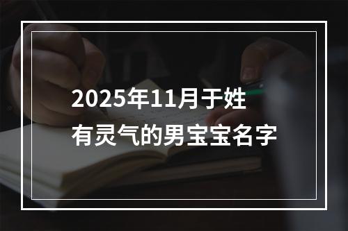 2025年11月于姓有灵气的男宝宝名字