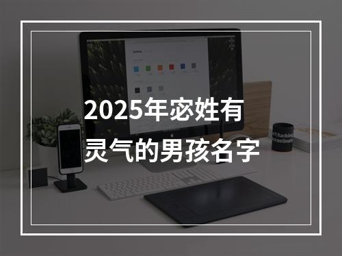 2025年宓姓有灵气的男孩名字