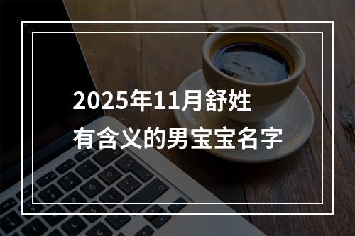 2025年11月舒姓有含义的男宝宝名字