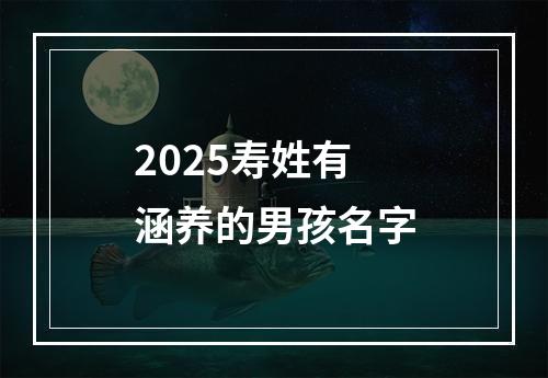 2025寿姓有涵养的男孩名字