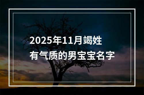 2025年11月竭姓有气质的男宝宝名字