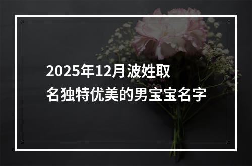 2025年12月波姓取名独特优美的男宝宝名字