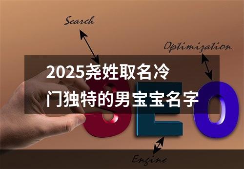 2025尧姓取名冷门独特的男宝宝名字