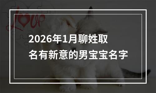 2026年1月聊姓取名有新意的男宝宝名字