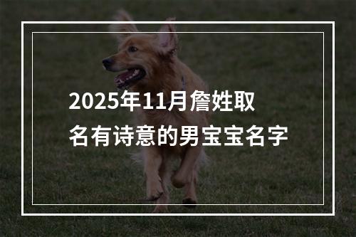 2025年11月詹姓取名有诗意的男宝宝名字
