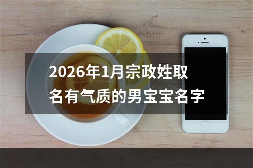 2026年1月宗政姓取名有气质的男宝宝名字