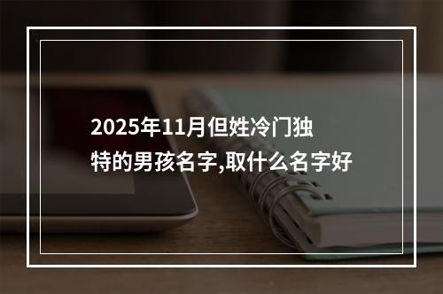 2025年11月但姓冷门独特的男孩名字,取什么名字好