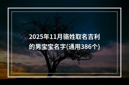2025年11月骆姓取名吉利的男宝宝名字(通用386个)