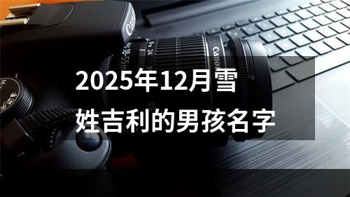 2025年12月雪姓吉利的男孩名字
