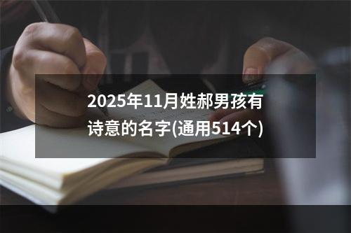 2025年11月姓郝男孩有诗意的名字(通用514个)