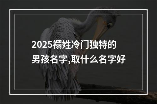 2025禤姓冷门独特的男孩名字,取什么名字好